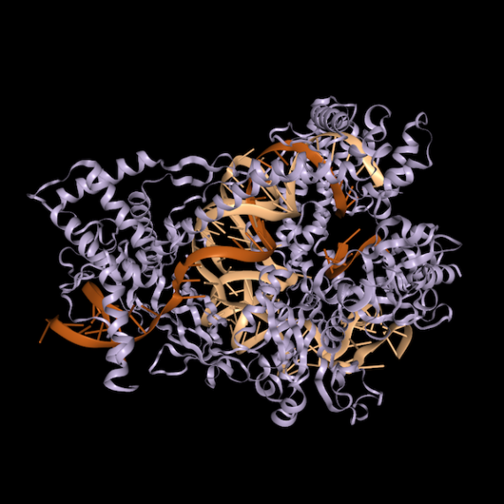 Structure of Cas12b bound to RNA