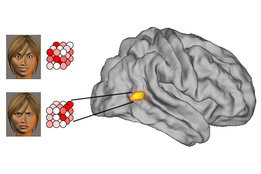 Examples of faces used in the study