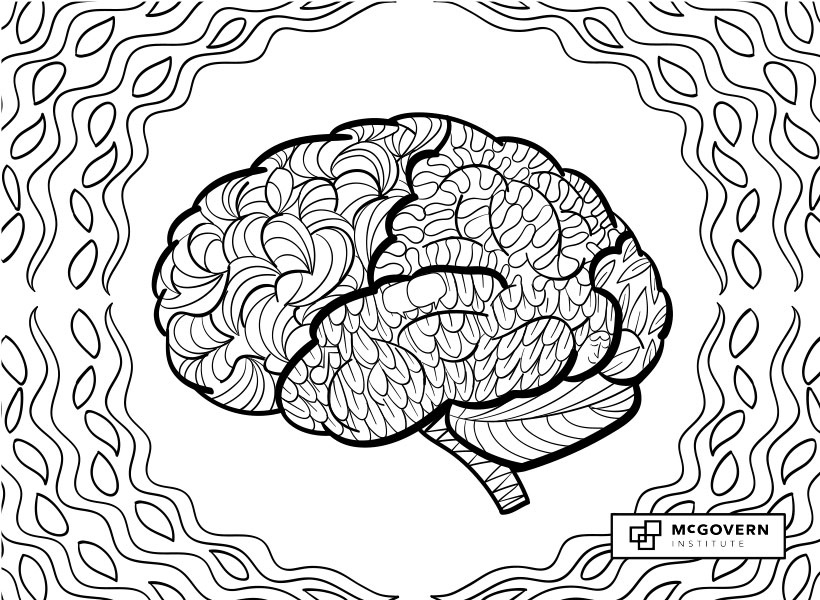 Line art of a human brain and the McGovern Institute logo.