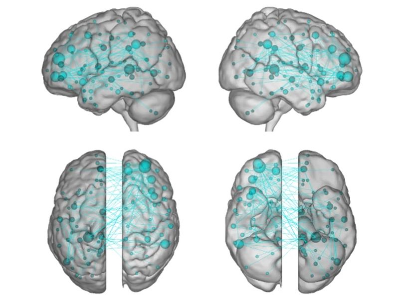 wandering mind brain activity