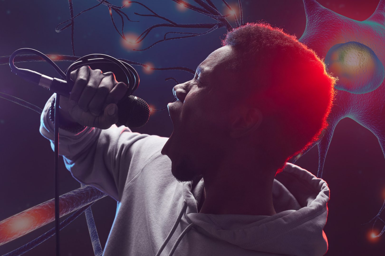 Singing in the brain - MIT McGovern Institute