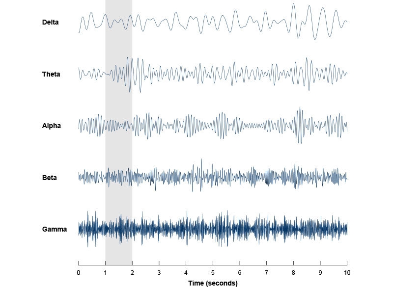 You searched for feed - MIT McGovern Institute