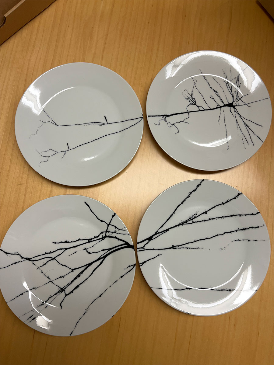 Set of 4 Neuron Plates