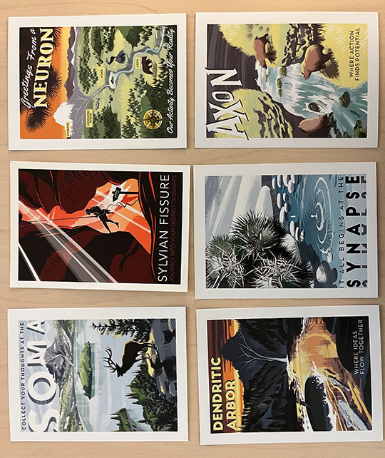 Postcard Collection (9 postcards included, not all pictured here))