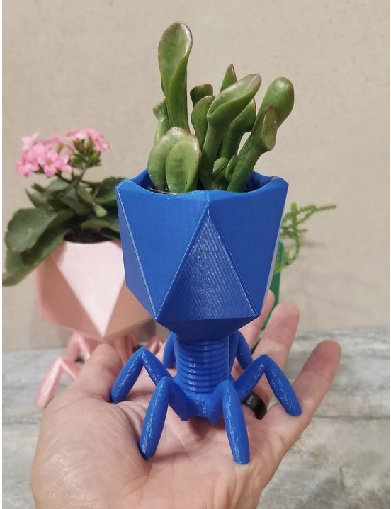 3D Printed Virus/Phage Planter with Cactus or Air Plant
