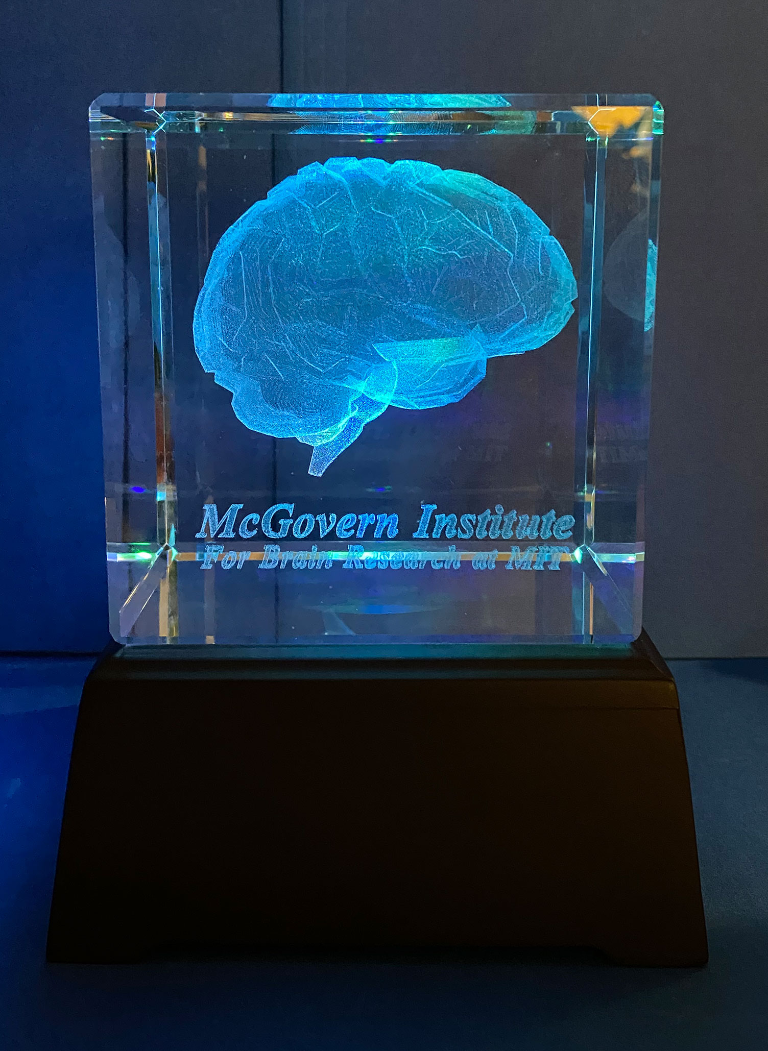 Crystal Brain Paperweight (with colored LED or white light stand)