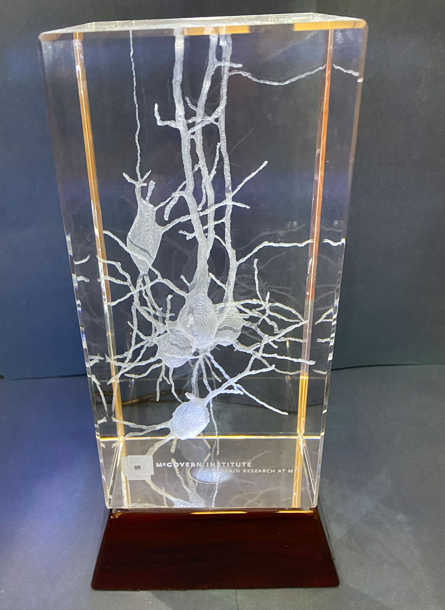 Large Crystal Neuron Paperweight (with white light stand)
