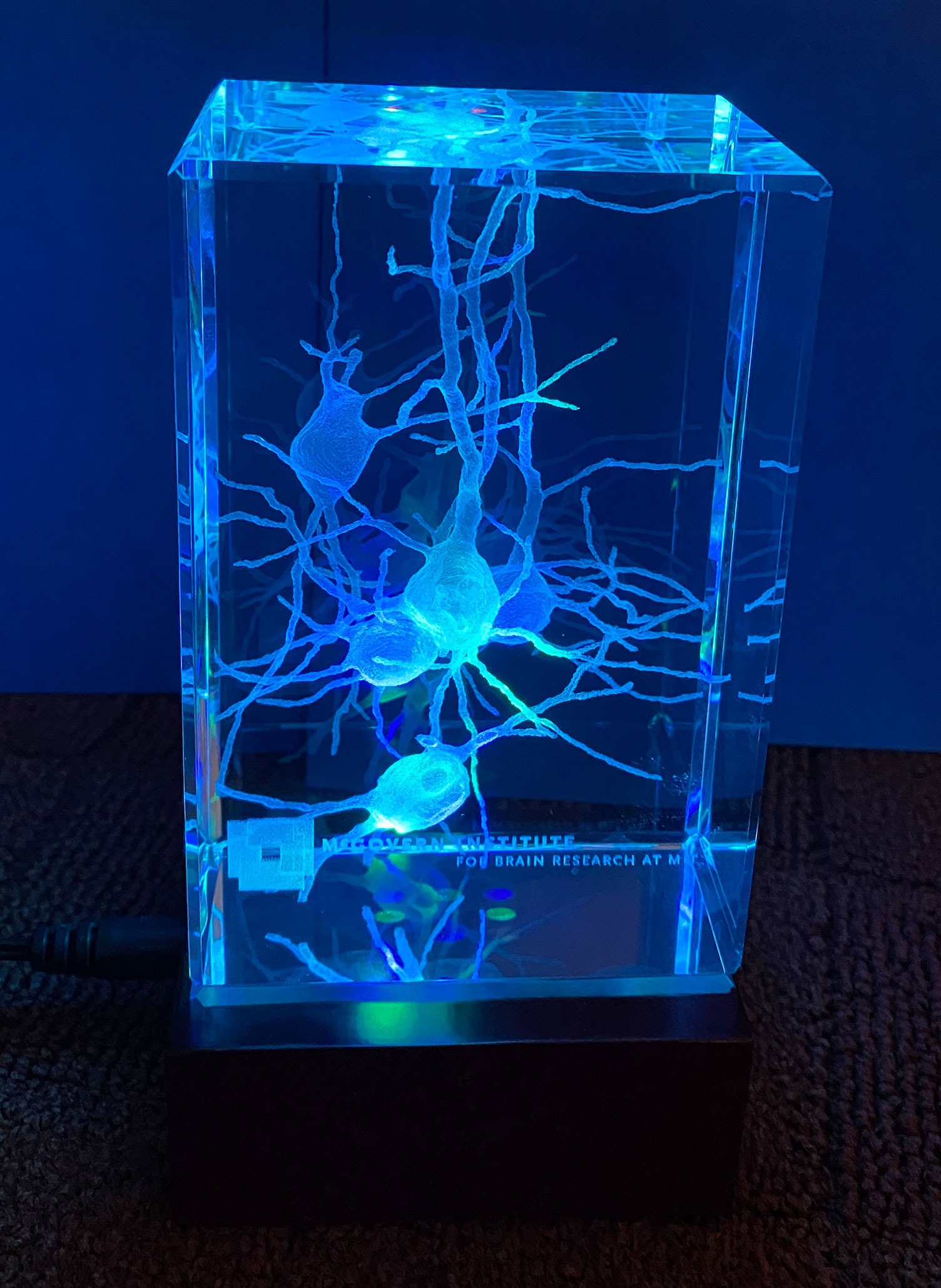 Small Crystal Neuron Paperweight (with colored LED light stand)