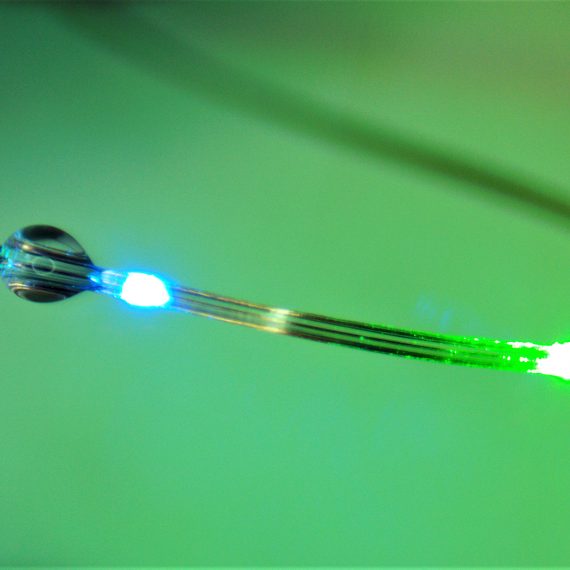 A close-up photograph of an engineered flexible fiber.