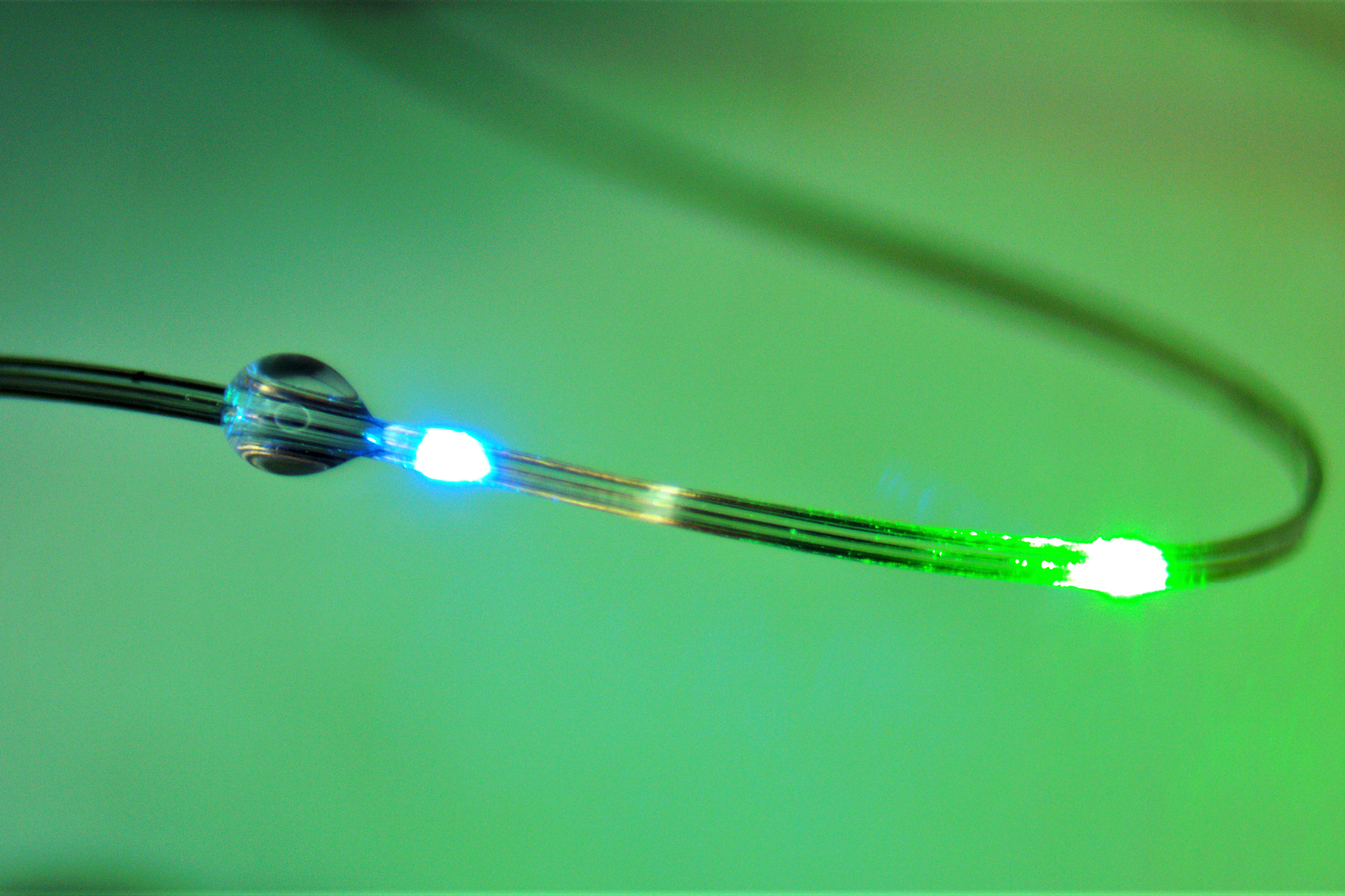 A close-up photograph of an engineered flexible fiber.