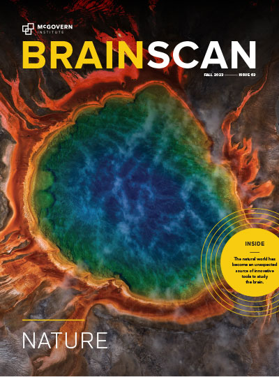 Cover of BrainScan newsletter