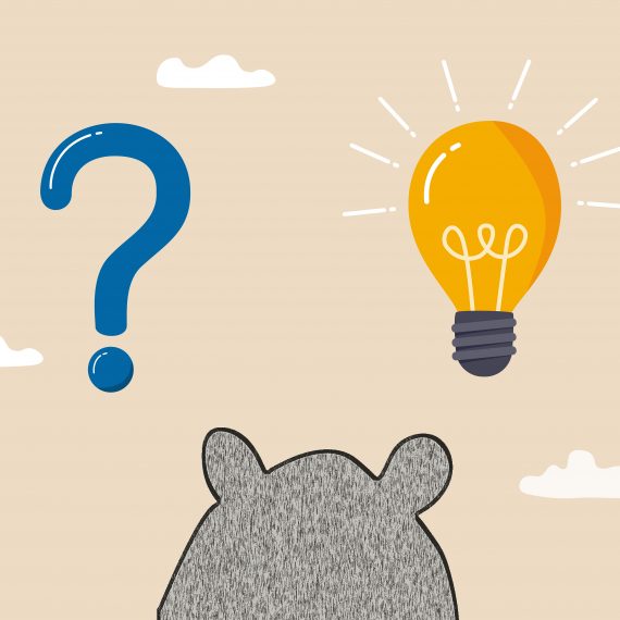 Illustration of mouse looking at a question mark and light bulb.