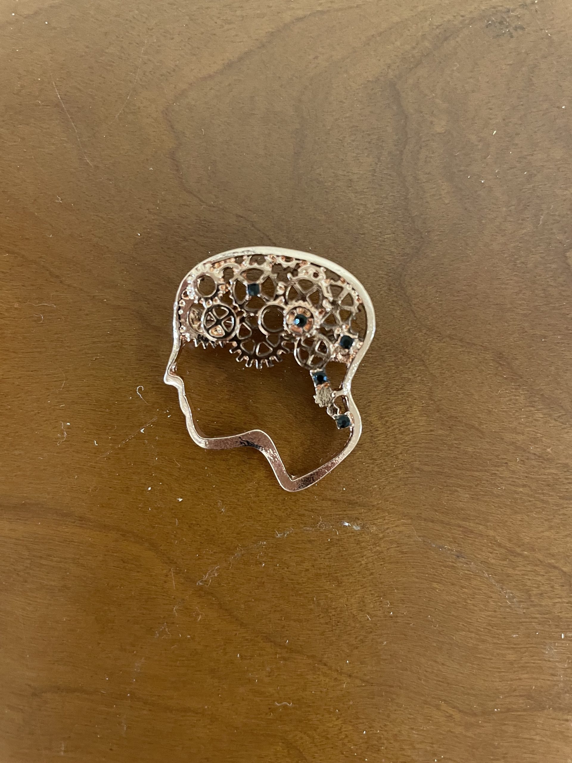 Brain Pin (Various Designs)
