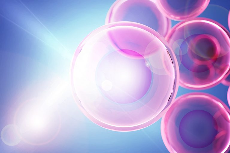 A new way to see the activity inside a living cell - MIT McGovern Institute