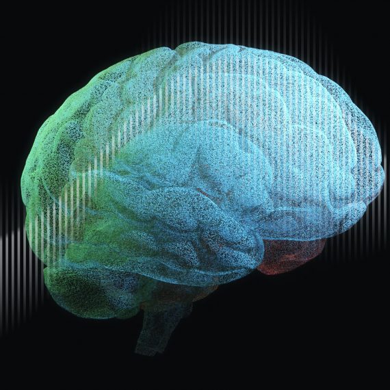 Unraveling the Mysteries of the Brain - MIT McGovern Institute