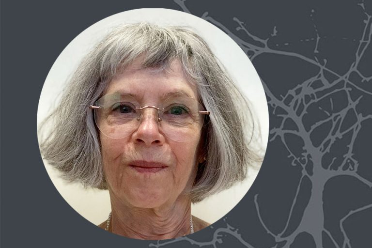 Margaret Livingstone awarded the 2024 Scolnick Prize in Neuroscience ...