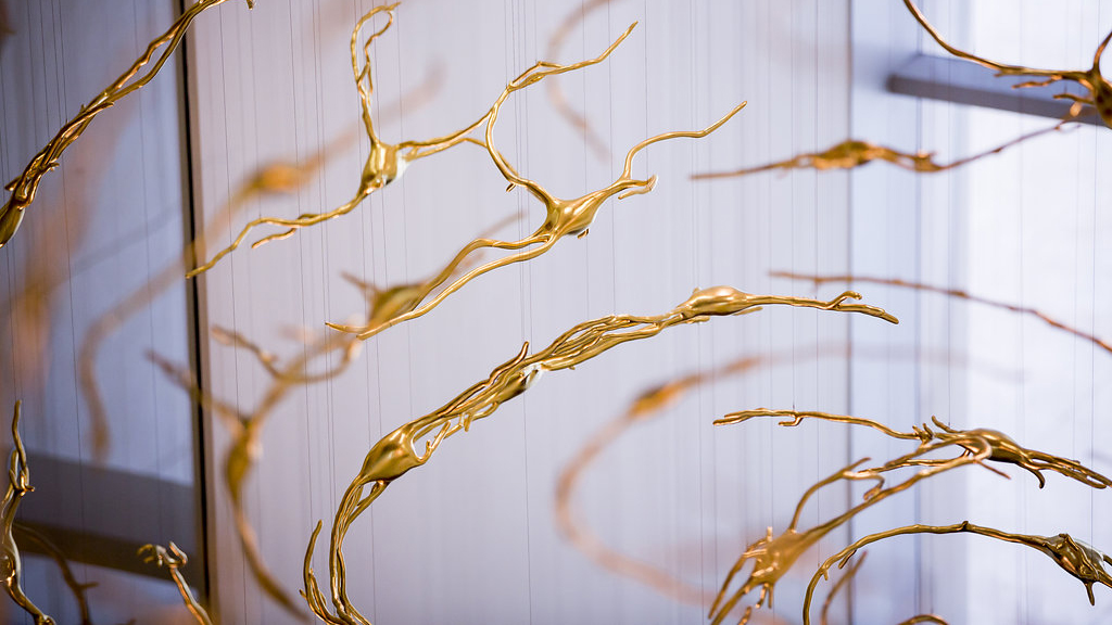 Gold neurons suspended from ceiling