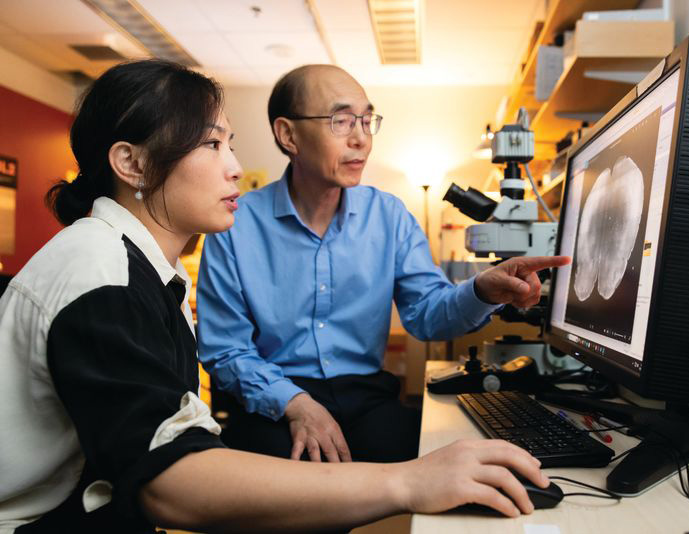 Woman and man sit at desk looking at brain image on computer screen.