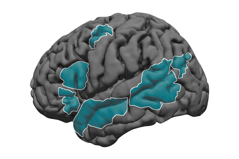 Language development in the brain - MIT McGovern Institute