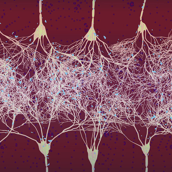 Artistic representation of a neural network.