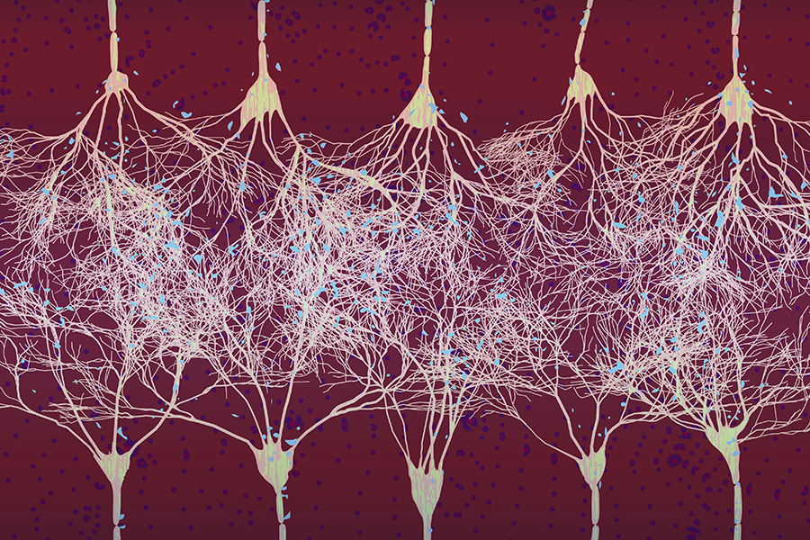 Artistic representation of a neural network.